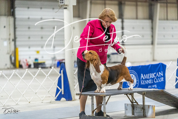 20230305-DSC02654