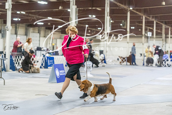 20230305-DSC02672