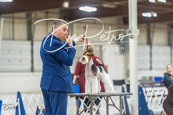 20230305-DSC02685