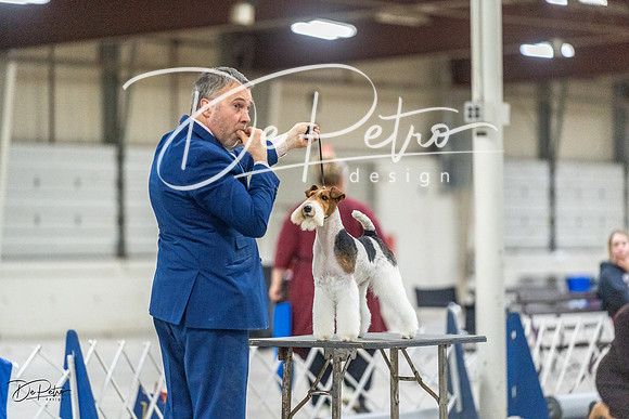 20230305-DSC02686