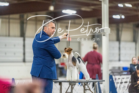 20230305-DSC02689
