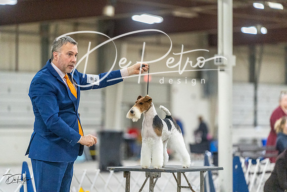 20230305-DSC02693