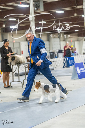 20230305-DSC02729