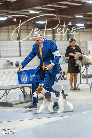 20230305-DSC02735