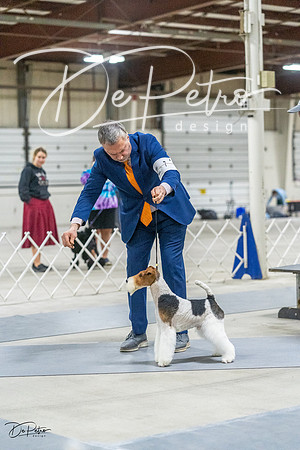20230305-DSC02751