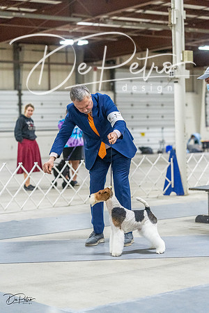 20230305-DSC02752