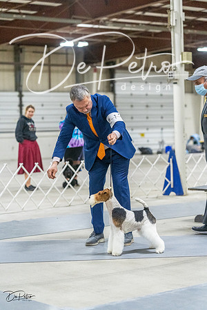 20230305-DSC02753