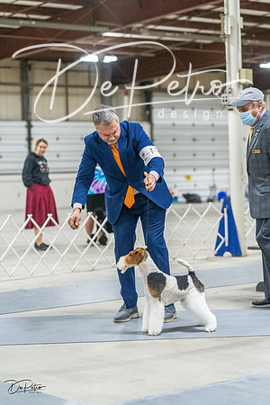 20230305-DSC02755