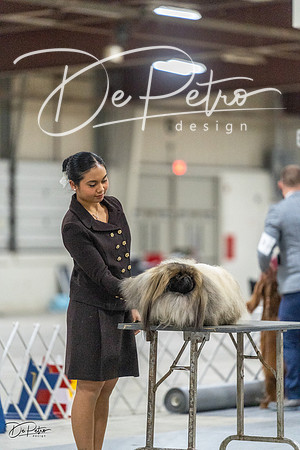20230305-DSC02773
