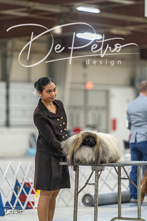 20230305-DSC02774