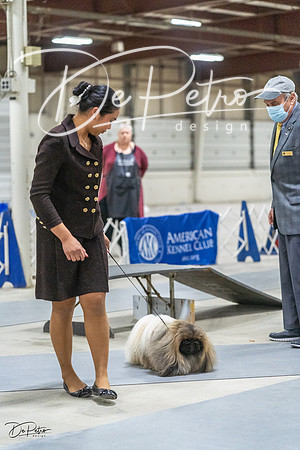 20230305-DSC02794