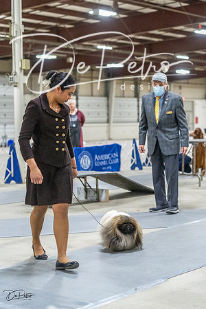 20230305-DSC02795