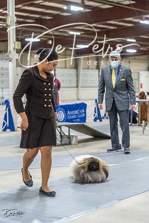 20230305-DSC02796