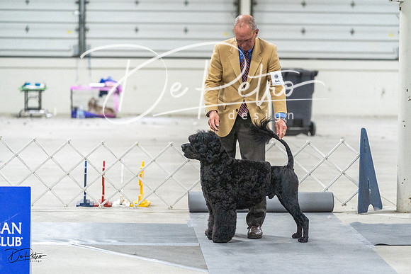 20230305-DSC02442