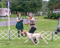 20250628-DSC07335