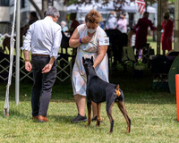 20210502-DSC08341