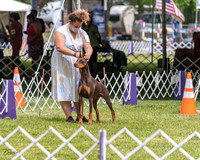 20210502-DSC08306
