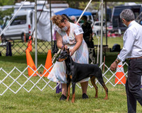 20210502-DSC08335