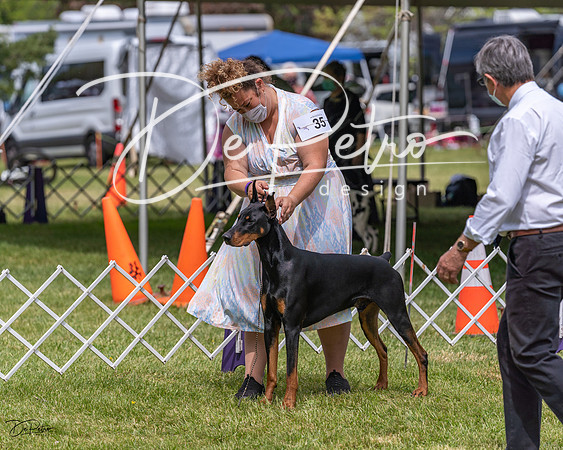20210502-DSC08335