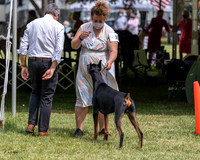 20210502-DSC08339