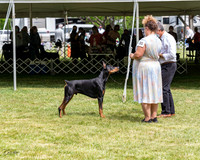 20210502-DSC08365
