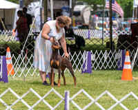 20210502-DSC08308