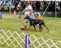 20210502-DSC08359