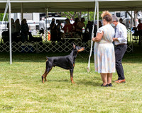 20210502-DSC08364