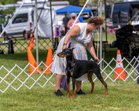 20210502-DSC08333