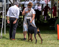 20210502-DSC08340