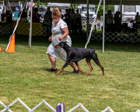 20210502-DSC08348