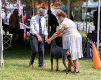 20210502-DSC08337