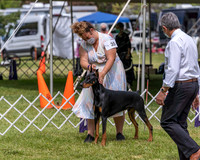 20210502-DSC08336