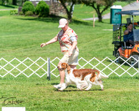 20250629-DSC00053