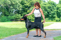 20260808-DSC08840