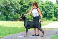 20260808-DSC08841