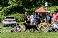20190609-DSC09418
