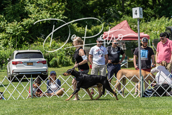 20190609-DSC09418