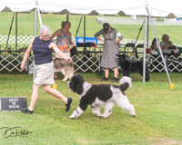 20250628-DSC08915