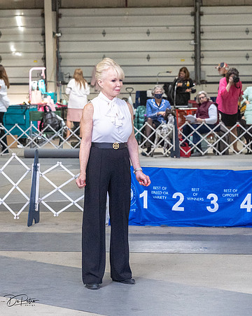 20230305-DSC00880