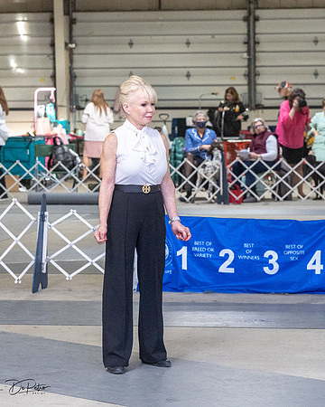 20230305-DSC00881