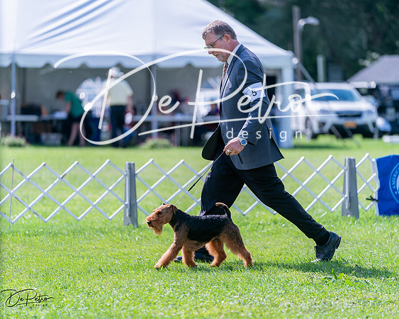 20240630-DSC03567