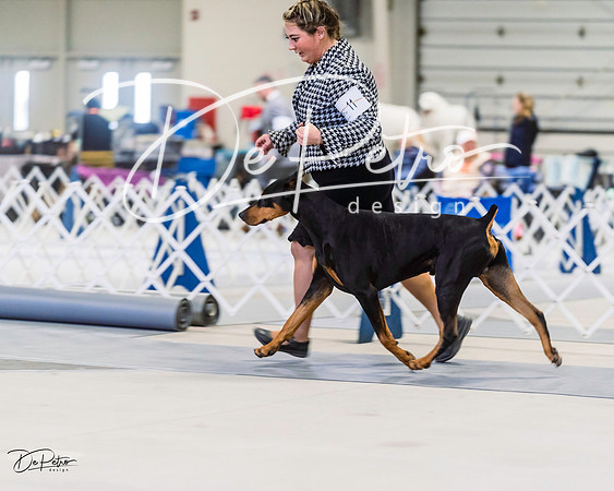20220306-DSC00388