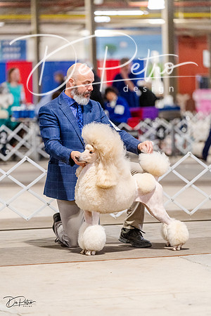 20230331-DSC05038