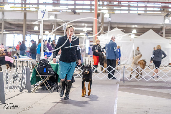 20230331-DSC03011