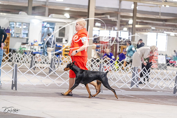 20230331-DSC03307