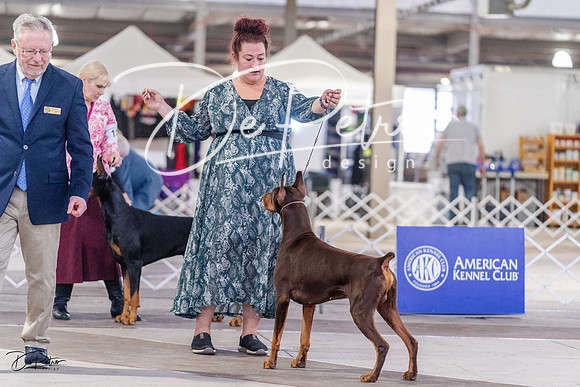 20230331-DSC03400