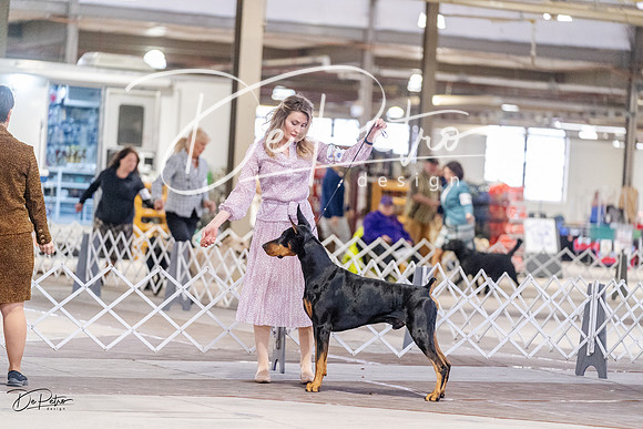 20230331-DSC03437