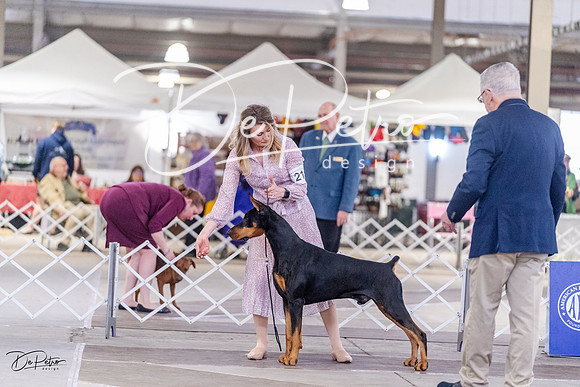 20230331-DSC03500