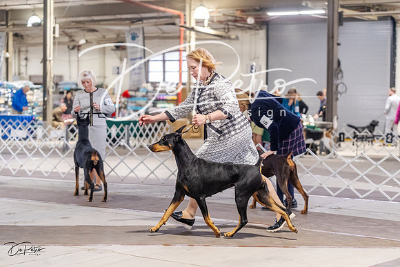 20230331-DSC03710